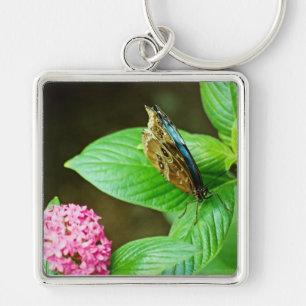 Blue Morpho 143 Keychain