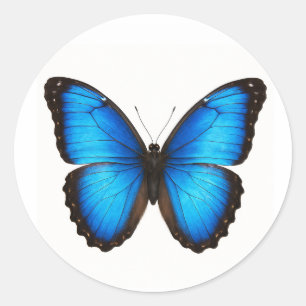 Blue Morpho Brilliance Classic Round Sticker