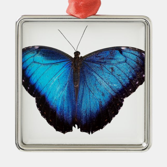 Blue Morpho Butterflie Metal Tree Decoration (Front)