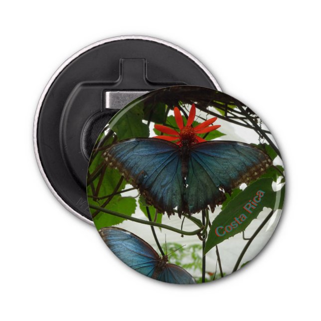 Blue Morpho Butterflies Cust. Bottle Opener (Front)