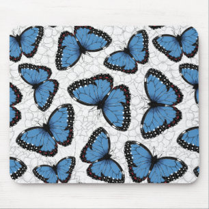 Blue morpho butterflies mouse mat