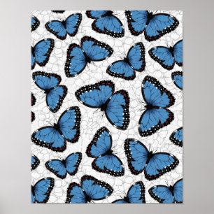 Blue morpho butterflies poster