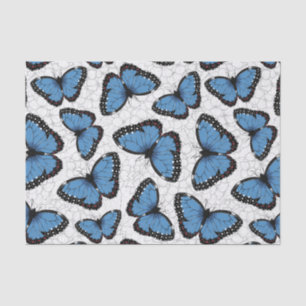 Blue morpho butterflies tissue paper