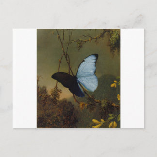 Blue Morpho Butterfly 1865 Spring Personalise Art Postcard