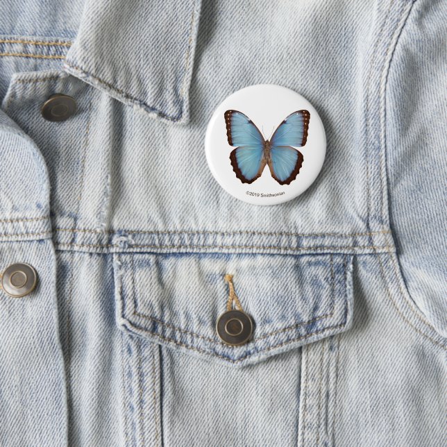 Blue Morpho Butterfly 6 Cm Round Badge (In Situ)