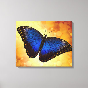 Blue Morpho Butterfly Canvas Print