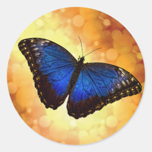 Blue Morpho Butterfly Classic Round Sticker