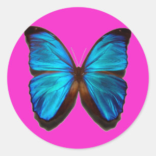 Blue Morpho Butterfly Classic Round Sticker