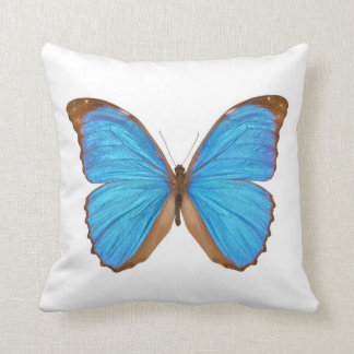 Blue Morpho Butterfly Cushion