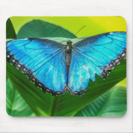 Blue Morpho Butterfly Floral Nature Art Mouse Mat