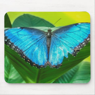 Blue Morpho Butterfly Floral Nature Art Mouse Mat