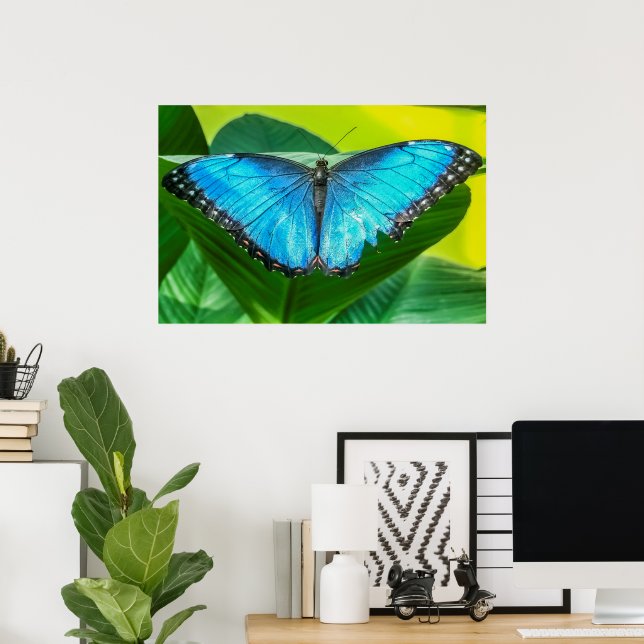 Blue Morpho Butterfly Floral Nature Art Poster (Home Office)