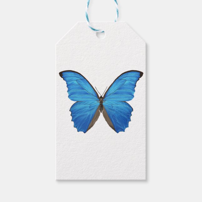 Blue Morpho Butterfly Gift Tags (Front)
