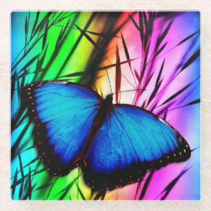 Blue Morpho Butterfly Glass Coaster
