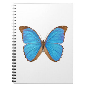Blue Morpho Butterfly (Menelaus Blue Morpho, Morph Notebook