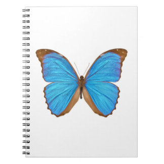 Blue Morpho Butterfly (Menelaus Blue Morpho, Morph Notebook