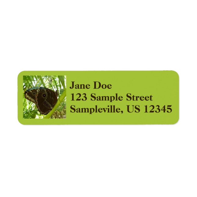 Blue Morpho Butterfly Nature Photography (Front)