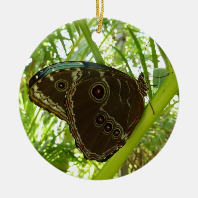 Blue Morpho Butterfly Nature Photography Ceramic Tree Decoration (Front)