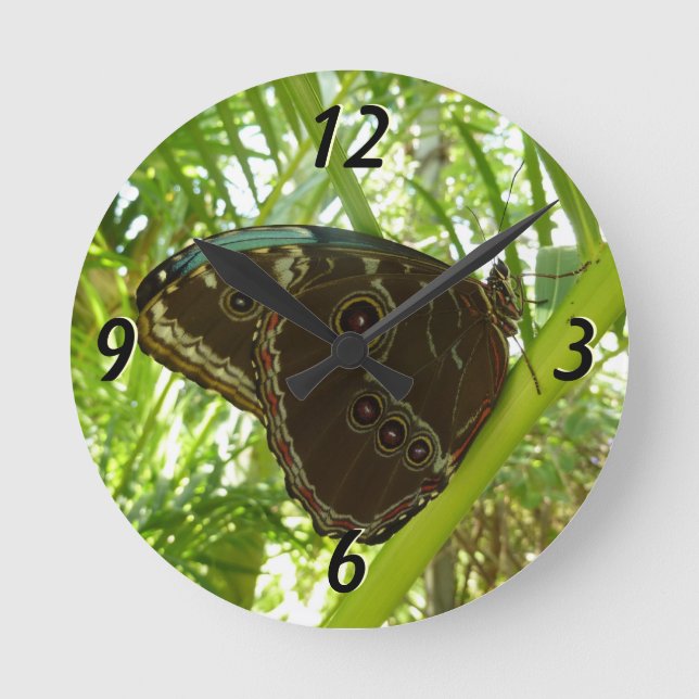 Blue Morpho Butterfly Nature Photography Round Clock (Front)