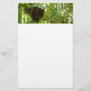 Blue Morpho Butterfly Nature Photography Stationery
