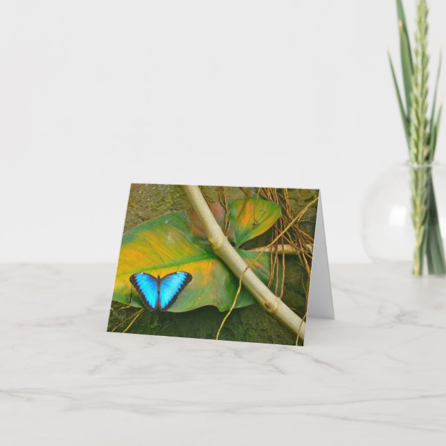 BLUE MORPHO BUTTERFLY NOTECARD (Front)