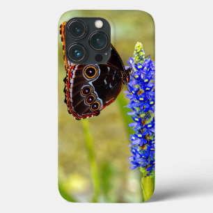 Blue morpho butterfly on a marsh orchid iPhone 13 pro case