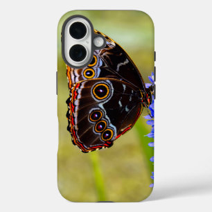 Blue morpho butterfly on a marsh orchid iPhone 16 case