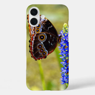 Blue morpho butterfly on a marsh orchid iPhone 16 plus case