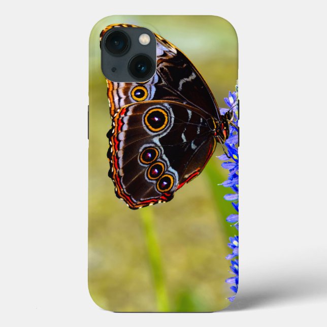 Blue morpho butterfly on a marsh orchid Case-Mate iPhone case (Back)