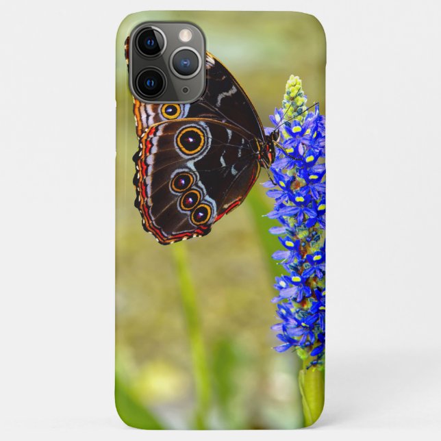 Blue morpho butterfly on a marsh orchid Case-Mate iPhone case (Back)