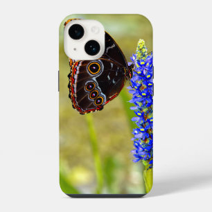 Blue morpho butterfly on a marsh orchid iPhone 14 case