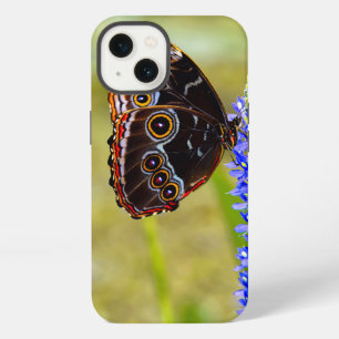 Blue morpho butterfly on a marsh orchid iPhone 13 case