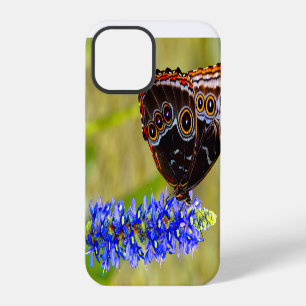 Blue morpho butterfly on a marsh orchid iPhone 12 pro case
