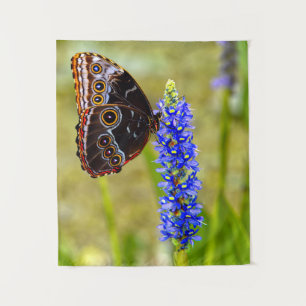 Blue morpho butterfly on a marsh orchid tapestry