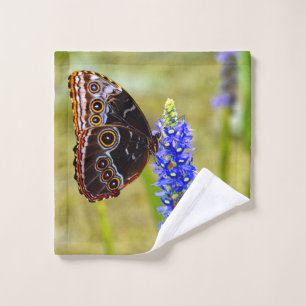 Blue morpho butterfly on a marsh orchid wash cloth