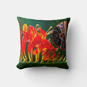 Blue morpho butterfly on Crocosmia Lucifer flowers Cushion