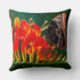 Blue morpho butterfly on Crocosmia Lucifer flowers Cushion