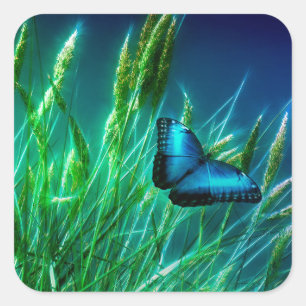 Blue Morpho Butterfly on Green Grass Square Sticker