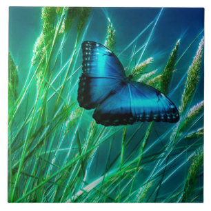 Blue Morpho Butterfly on Green Grass Tile