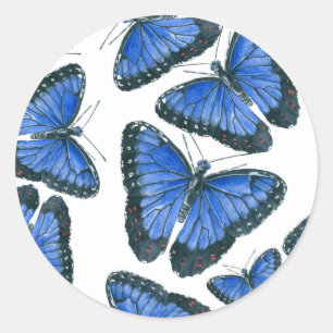 Blue morpho butterfly pattern design classic round sticker