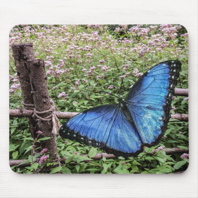 Blue Morpho Butterfly Rustic Design Mouse Mat (Front)