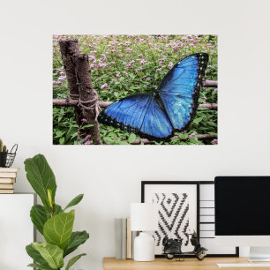 Blue Morpho Butterfly Rustic Design Poster