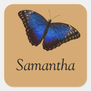 Blue Morpho Butterfly Square Sticker