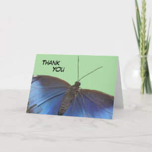 Blue Morpho Butterfly Thank You Greeting Card