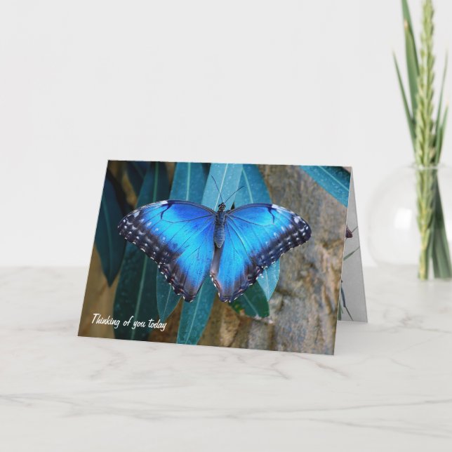 Blue Morpho butterfly thinking of you Card (Front)