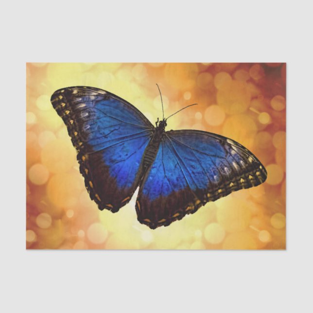 Blue Morpho Butterfly Tissue Paper (Front)