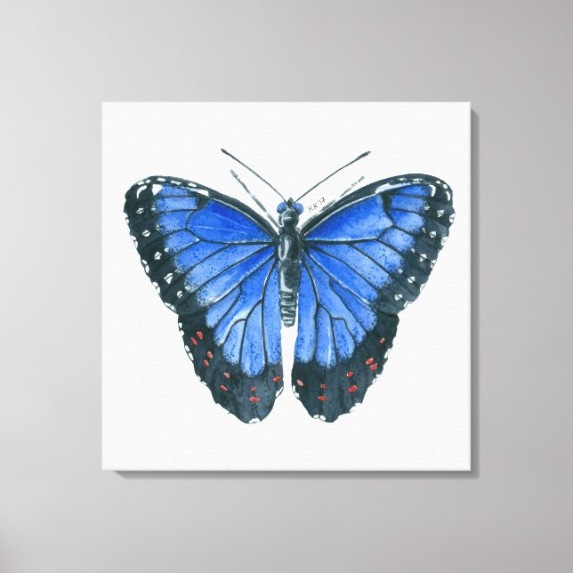 Blue Morpho butterfly watercolor painting Canvas Print (Front)