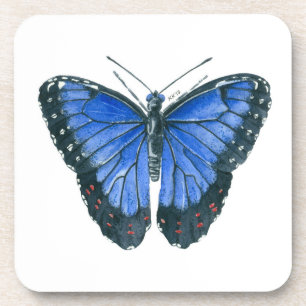 Blue Morpho butterfly watercolor painting Coaster