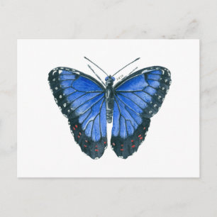 Blue Morpho butterfly watercolor painting Postcard