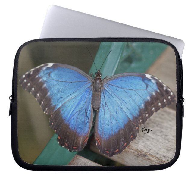 Blue Morpho Laptop Sleeve (Front)